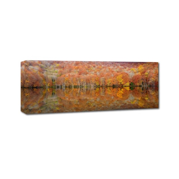 Sho Shibata 'Glowing Autumn' Canvas Art,10x32